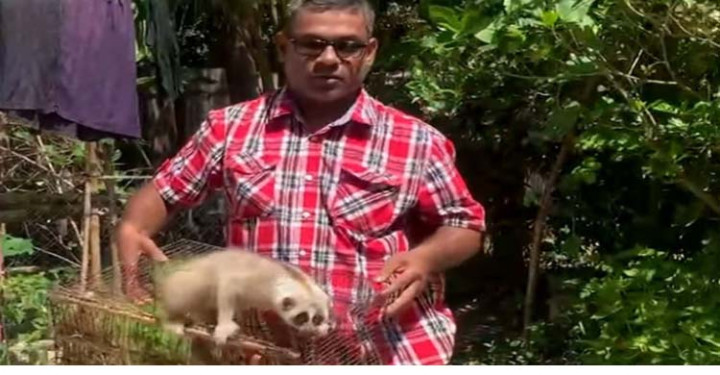 মৌলভীবাজারে বিপন্ন প্রজাতির ‘লজ্জাবতী বানর’ উদ্ধার