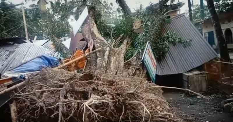 জকিগঞ্জে কালবৈশাখী ঝড়ে শতবর্ষী বটগাছ ভেঙে তিনটি দোকান ক্ষতিগ্রস্থ