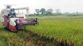 জোরপূর্বক কৃষকের ধান কেটে নেয়ার অ ভি যো গ