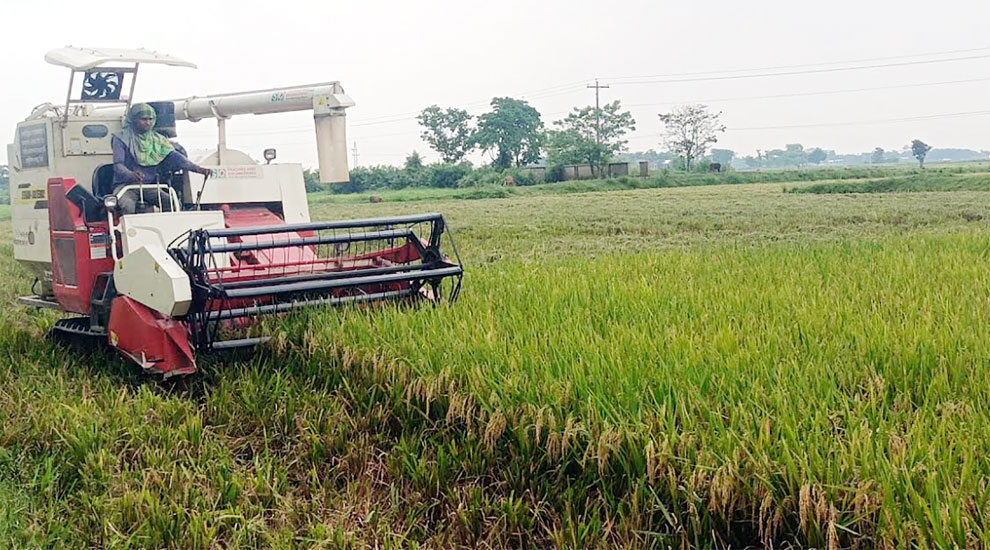 জোরপূর্বক কৃষকের ধান কেটে নেয়ার অ ভি যো গ