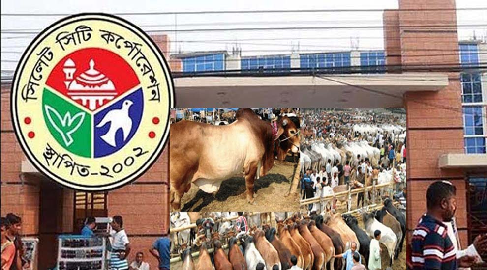 এবার কো র বা নীর নির্ধারিত স্থান নেই সিসিক’র!